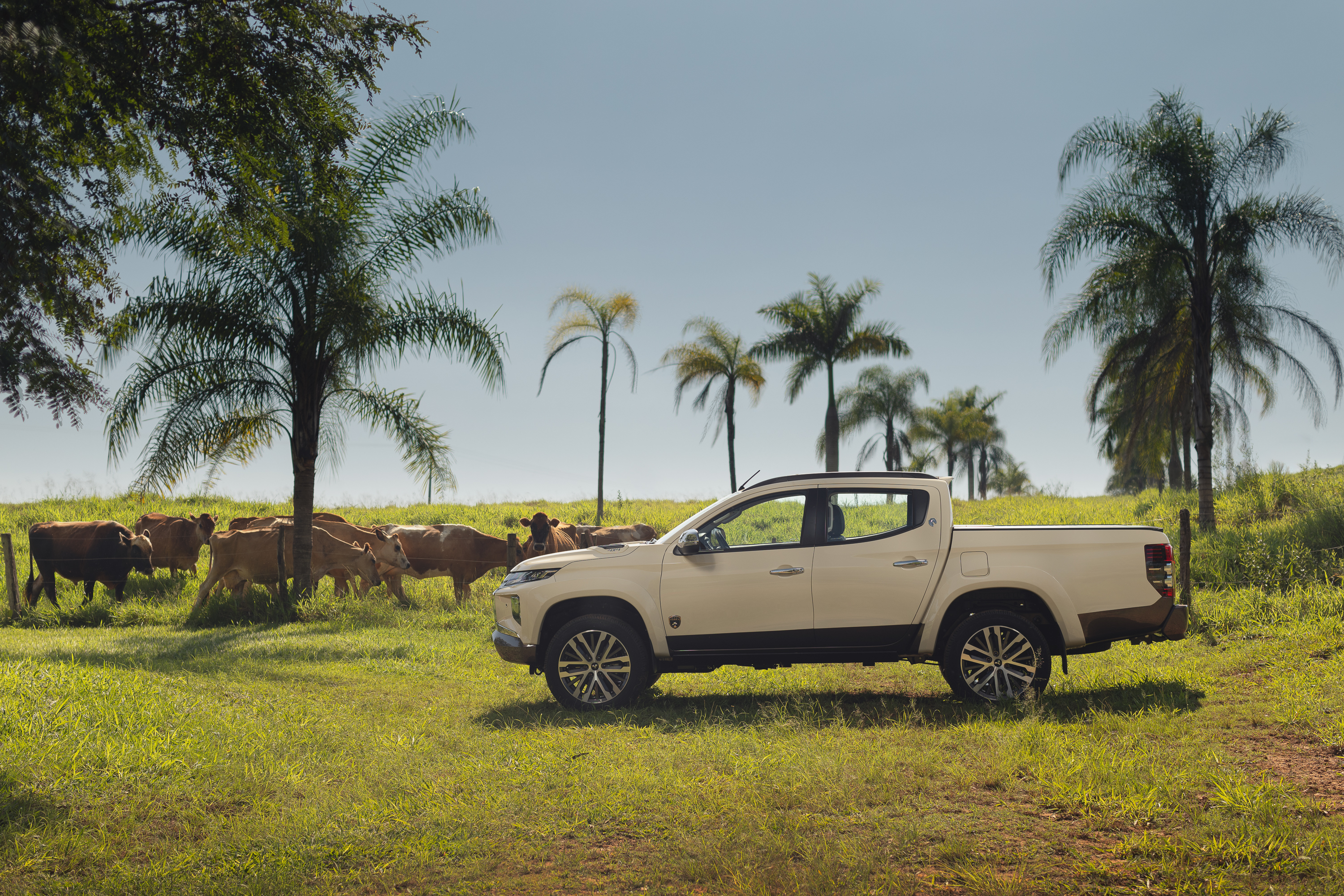 Mitsubishi L200 Terra 8